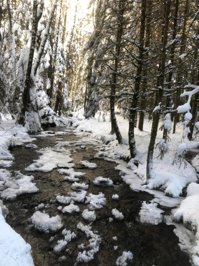 Le Batelier Du Lac Жерарме Екстер'єр фото